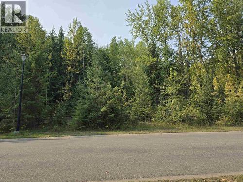 Lot 22 Dawson Street, Quesnel, BC 