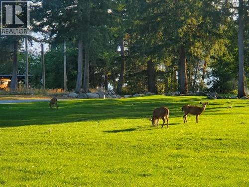 5205 Gillies Bay Road, Texada Island, BC 