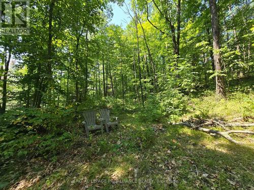 1255 Blue Heron Ridge, Central Frontenac (Frontenac Centre), ON 