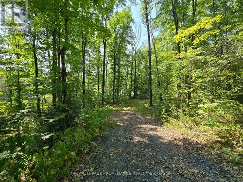 1255 Blue Heron Ridge, Central Frontenac (Frontenac Centre), ON 