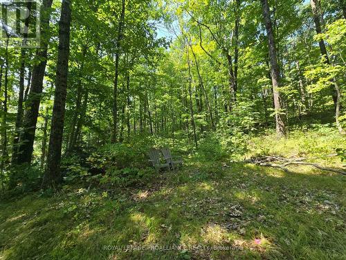 1255 Blue Heron Ridge, Central Frontenac (Frontenac Centre), ON 