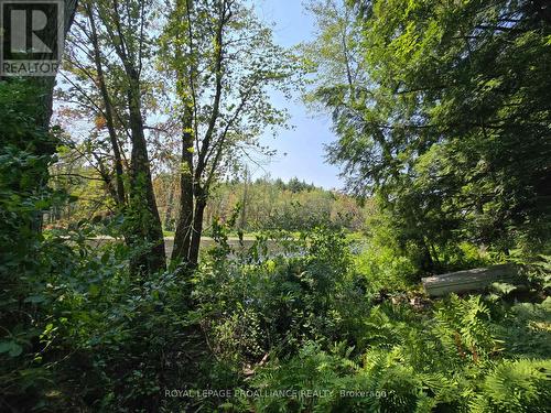 1255 Blue Heron Ridge, Central Frontenac (Frontenac Centre), ON 