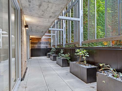 Terrasse - 309-1406 Rue Ste-Élisabeth, Montréal (Ville-Marie), QC - 