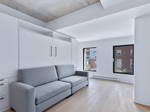 Salon - 309-1406 Rue Ste-Élisabeth, Montréal (Ville-Marie), QC - Indoor Photo Showing Living Room