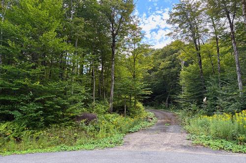 Terre/Terrain - Rue De L'Horizon, Morin-Heights, QC 