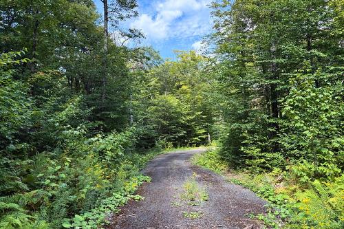 Terre/Terrain - Rue De L'Horizon, Morin-Heights, QC 