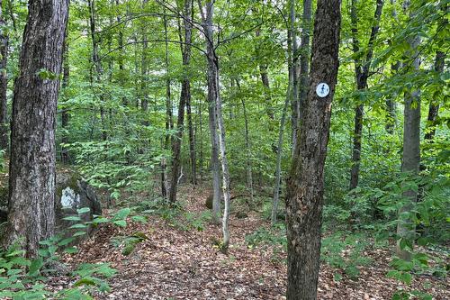 Terre/Terrain - Rue De L'Horizon, Morin-Heights, QC 
