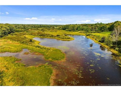 135 Hopkins Rd, Gaspereau Forks, NB 