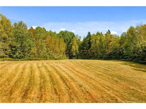 135 Hopkins Rd, Gaspereau Forks, NB 