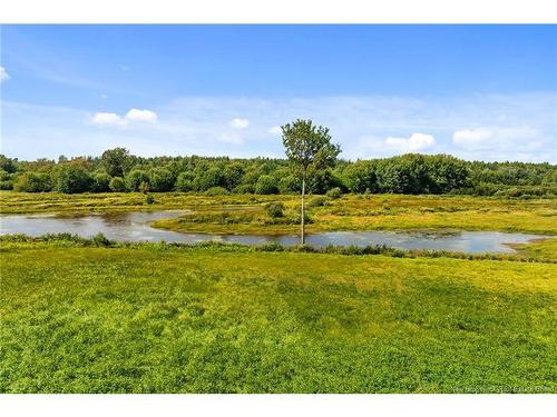 135 Hopkins Rd, Gaspereau Forks, NB 