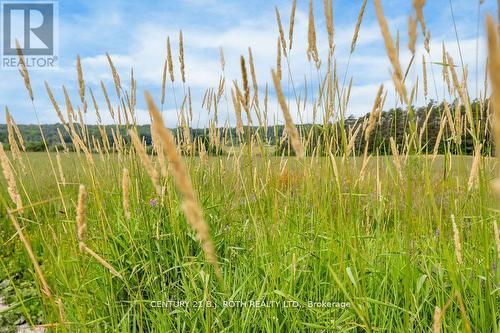 1499 Tay Point Road, Penetanguishene, ON 