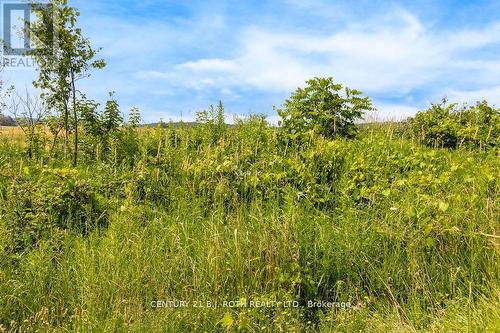 1499 Tay Point Road, Penetanguishene, ON 