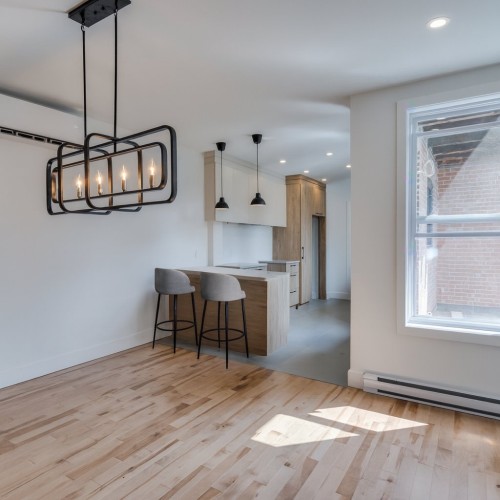 Salle à manger - 4448A  - 4454A Av. Papineau, Montréal (Le Plateau-Mont-Royal), QC - Indoor Photo Showing Other Room