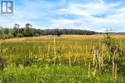 1511 TAY POINT ROAD  Penetanguishene, ON L9M 2C8