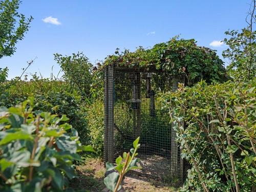 7373 Route 11, Cap Egmont, PE 