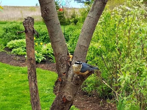 7373 Route 11, Cap Egmont, PE 