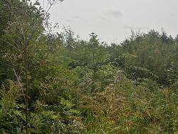 Lot 5 Granville Road  Karsdale, NS B0S 1A0