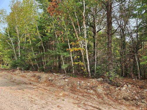 Lot 69 Turner Point Crossover, Walden, NS 