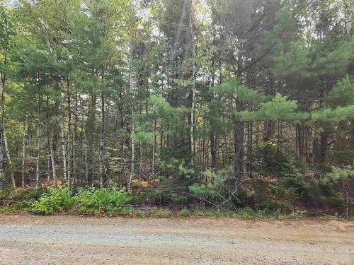 Lot 70 Turner Point Crossover, Walden, NS 