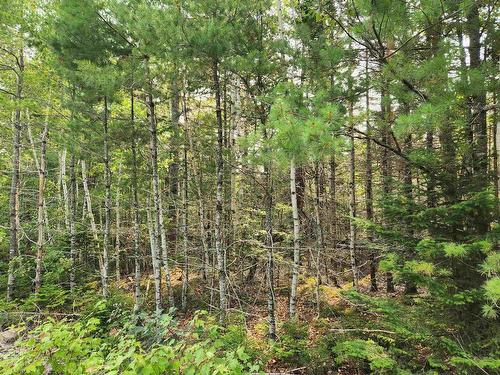 Lot 70 Turner Point Crossover, Walden, NS 