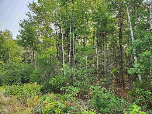 Lot 70 Turner Point Crossover, Walden, NS 