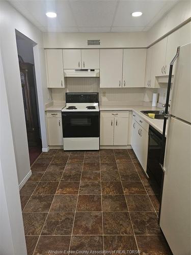 502-3855 Southwinds, Windsor, ON 