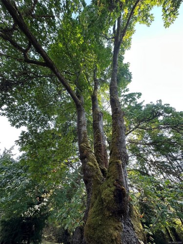 1520 North Beach Rd, Salt Spring, BC 