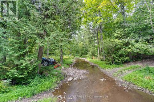 12909 5Th Line, Halton Hills, ON - Outdoor