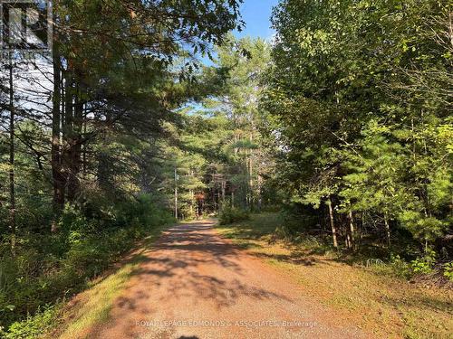 27 Stencells Road, Laurentian Valley, ON - Outdoor With View