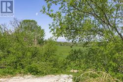 Water View (behind the trees) - 