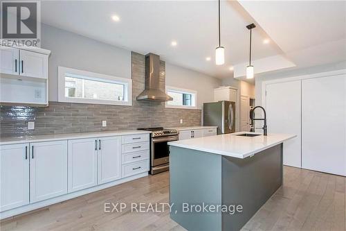 196 Powell Avenue, Ottawa, ON - Indoor Photo Showing Kitchen With Upgraded Kitchen