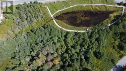 4-28 Penney's Hill Road  Victoria, NL A0A 4G0