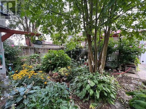 55 Linwood Street, London East (East C), ON - Outdoor