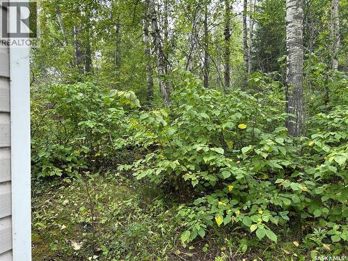 6040 Spruce Way, Bjorkdale Rm No. 426, SK 