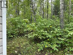 6040 Spruce WAY  Bjorkdale Rm No. 426, SK S0E 0E0