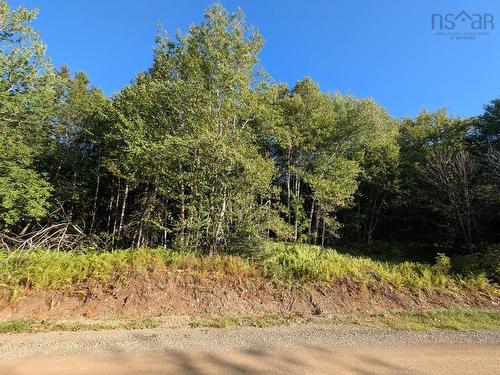 Glen Albert Drive, Big Pond, NS 