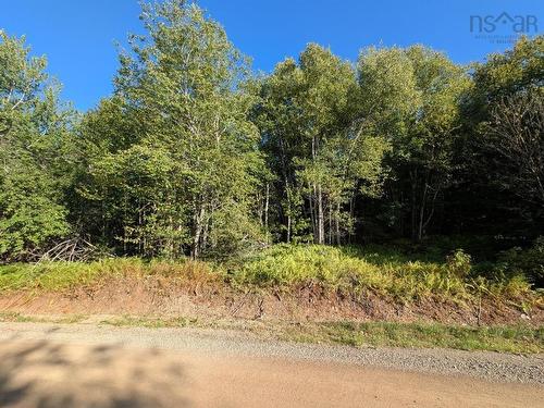 Glen Albert Drive, Big Pond, NS 