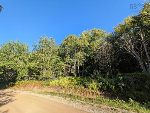 Glen Albert Drive, Big Pond, NS 