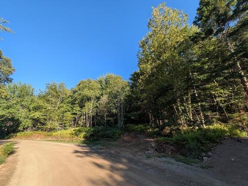Glen Albert Drive, Big Pond, NS 