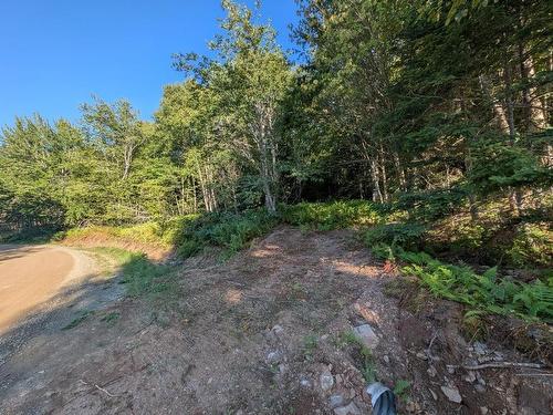 Glen Albert Drive, Big Pond, NS 