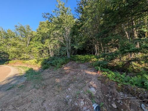 Glen Albert Drive, Big Pond, NS 