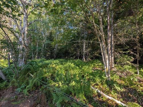 Glen Albert Drive, Big Pond, NS 