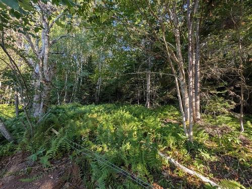 Glen Albert Drive, Big Pond, NS 