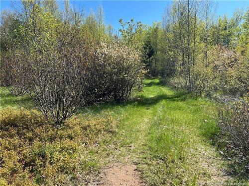 Lots Evangeline, Richibucto, NB 