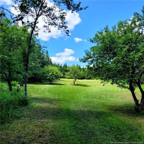 99 Glebe Rd, Chamcook, NB 