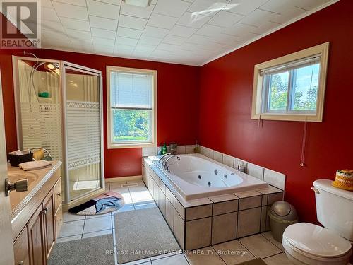 267 Centre Line, Asphodel-Norwood, ON - Indoor Photo Showing Bathroom