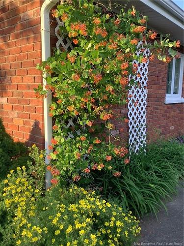 845 O'Neil Ave, Bathurst, NB 