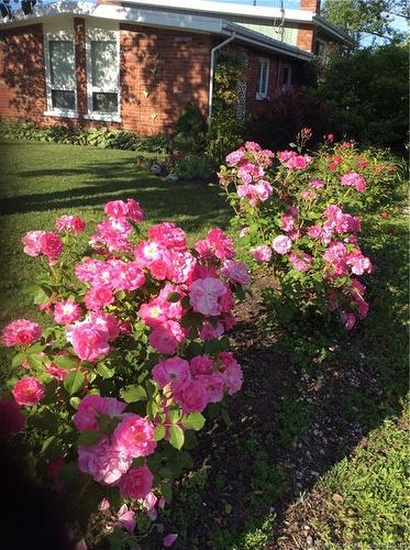 845 O'Neil Ave, Bathurst, NB 