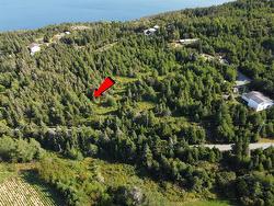 0 Cliff Meadows Road  Bareneed, NL A0A 1W0