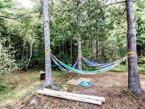 311 Saint-Charles Sud Rd, Saint-Charles, NB 